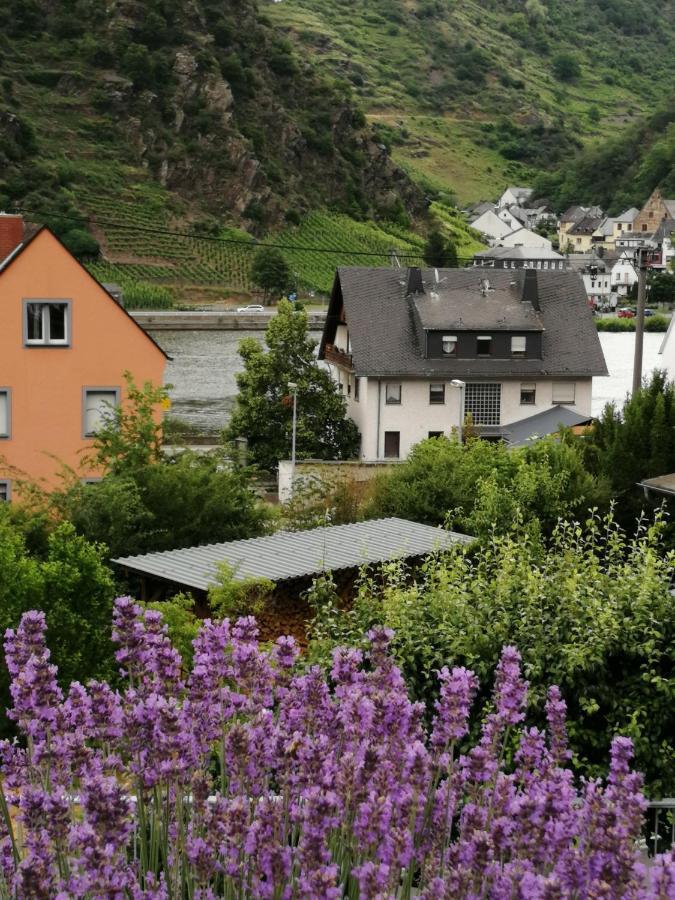 Apartamento Haus Erika/ Fam. Frevel Kattenes Exterior foto